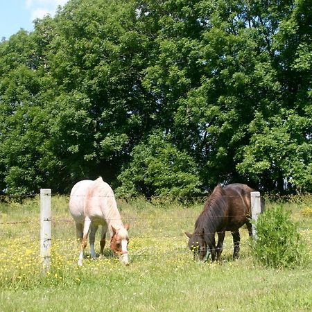 Ferienhaus Sommerbrise, Hof Zur Sonnenseite Fehmarn, 4 Sterne エクステリア 写真